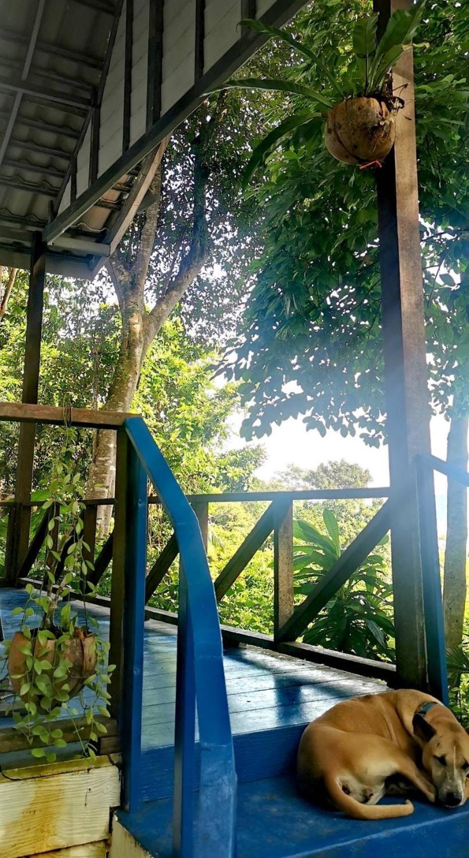 Rasta view Bangalows Koh Chang Zewnętrze zdjęcie